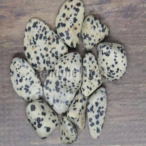 Dalmatian Jasper Tumbled Stone