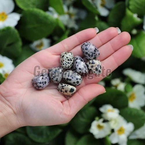 Dalmatian Jasper Tumbled Stone