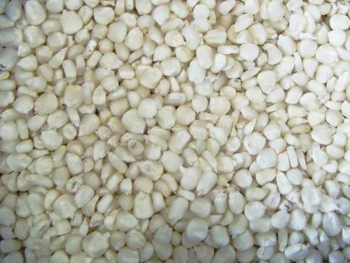 A Grade White Maize Seeds