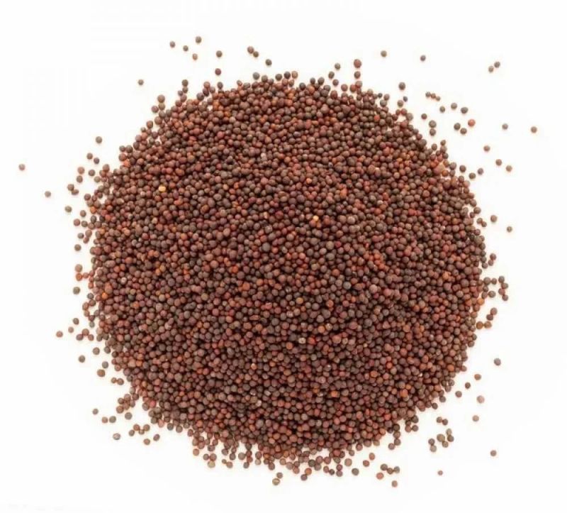 Organic Brown Mustard Seeds