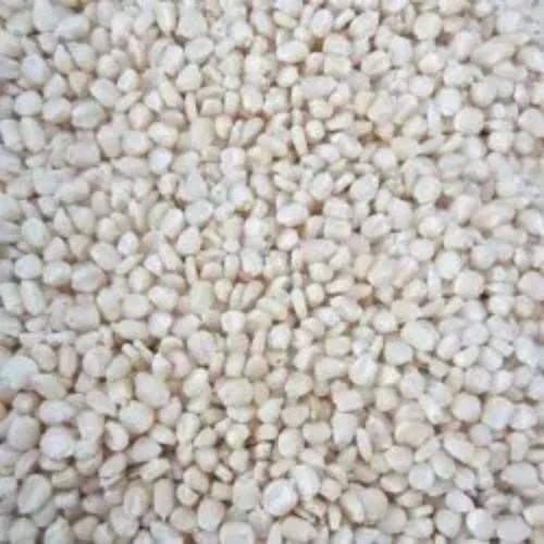 Organic White Maize Seeds