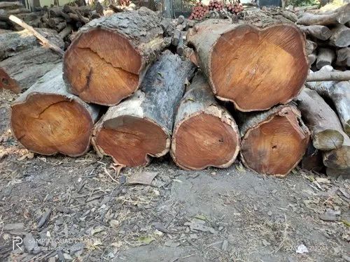 Sheesham Round Wood Logs