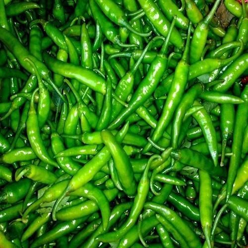 Fresh Green Chilli