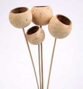 Bell Cups