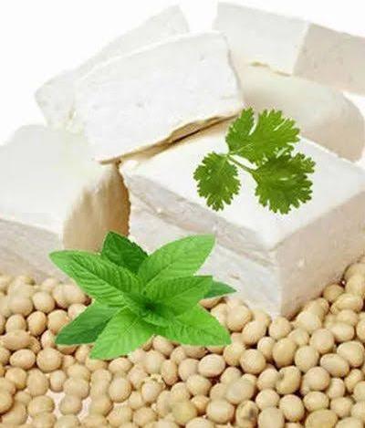 White Fresh Tofu soya paneer, Feature : Healthy