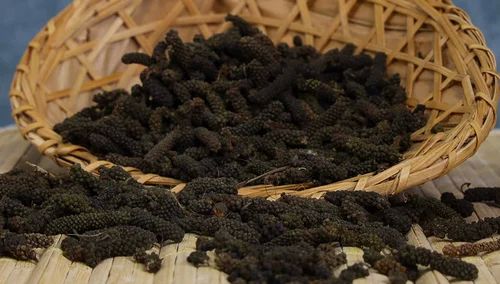 Meghalaya Long Black Pepper