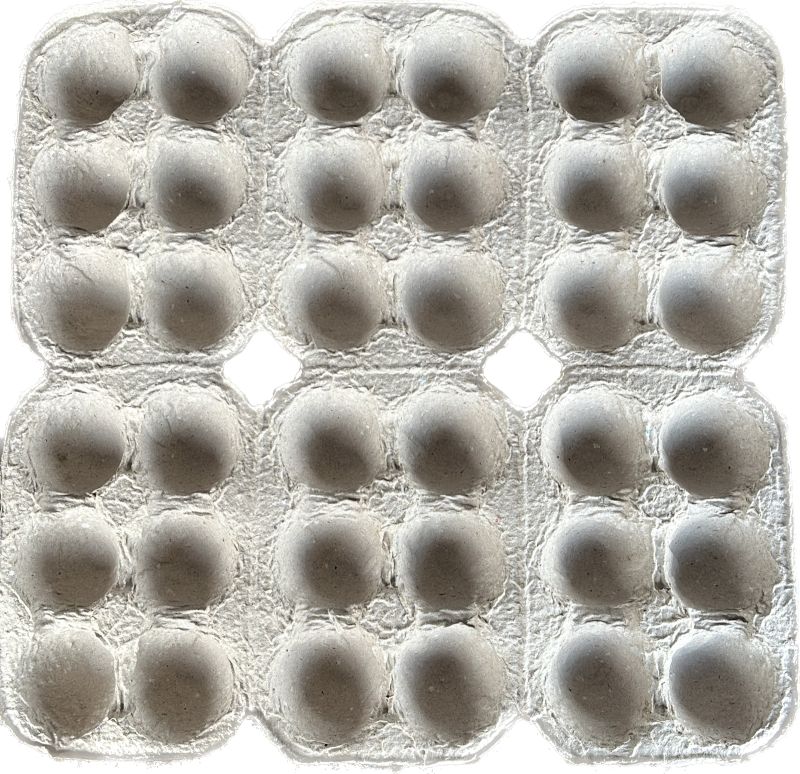 6 Cavity Paper Pulp Egg Tray