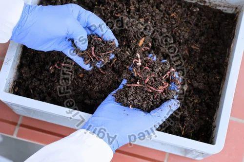 Vermicompost Product Development Consultancy Service