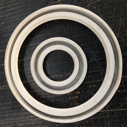 PTFE Seals