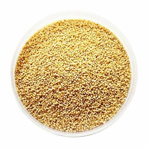 Brown Organic Foxtail Millet, for Cooking, Variety : Hybrid