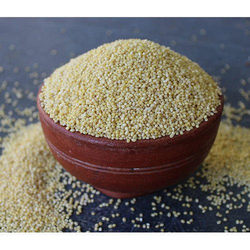 Brown Organic Kodo Millet, for Cooking, Packaging Type : Plastic Bag