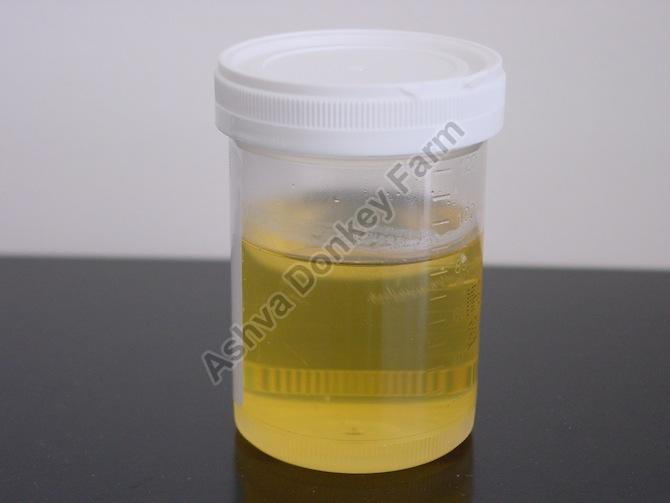 Light Yellow Liquid Donkey Urine, for Medicine Use, Purity : 99.9%