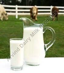 Fresh Buffalo Milk, Purity : 100%
