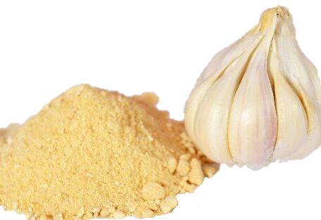 White Dehydrated Garlic Powder