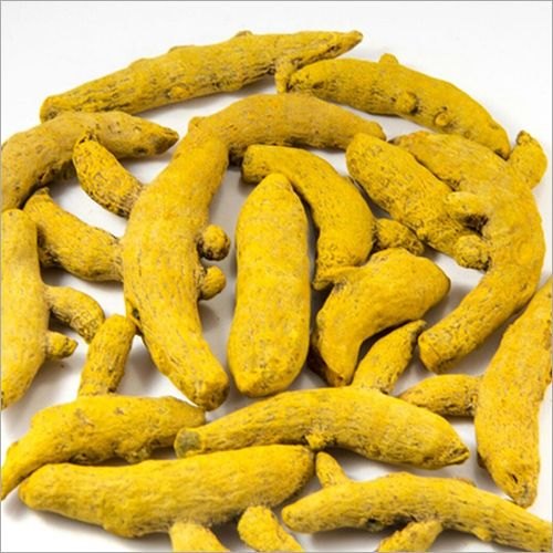 Yellow Sticks Dried Turmeric Finger, for Cooking, Packaging Type : PP Bags
