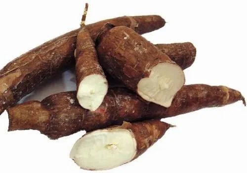 Brown Cassava Root, for Cooking, Packaging Type : PP Bags