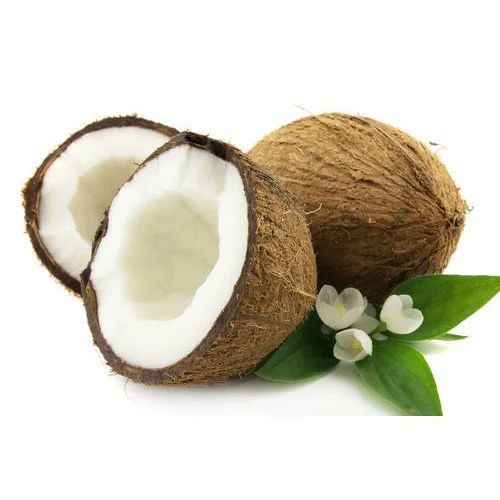 Brown Solid Organic Fresh Coconut, for Pooja, Medicines, Cooking, Packaging Type : Gunny Bag