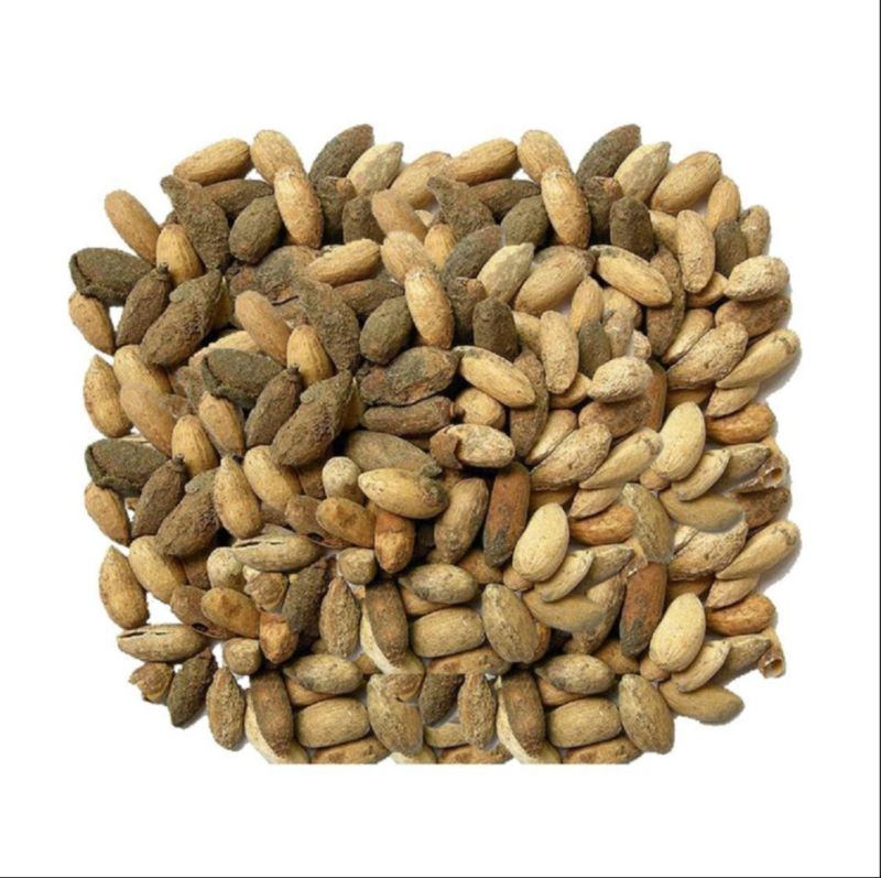 Brown Organic Neem Seeds, for Medicine, Packaging Type : Plastic Bags