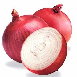 Fresh Bhagva Red Onion