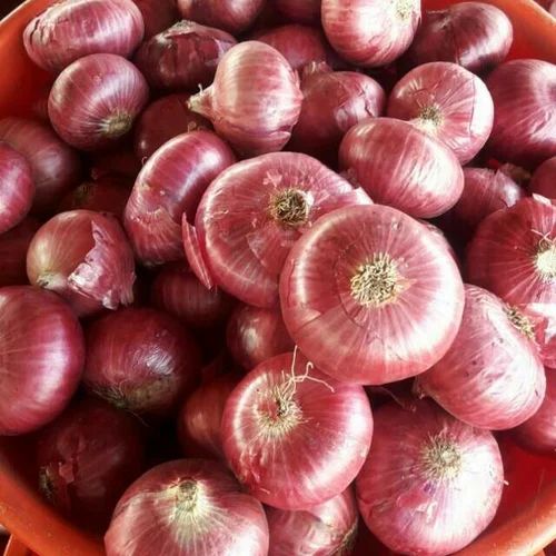 Fresh Big Onion, for Human Consumption, Packaging Size : 25 Kg
