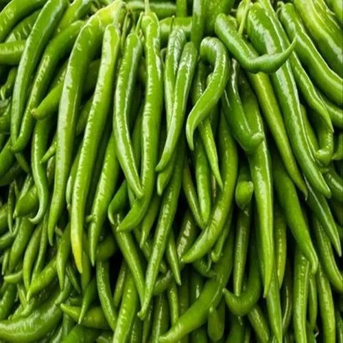 Fresh Jwala Green Chilli, for Human Consumption, Packaging Size : 25 Kg