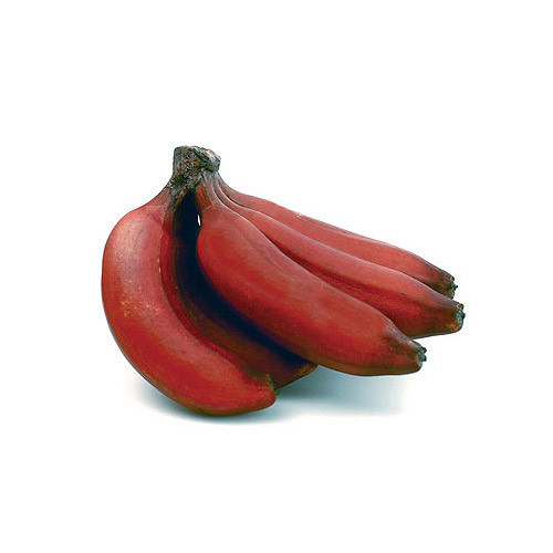 Fresh Red Banana