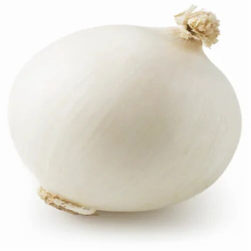 Fresh White Onion, Packaging Size : 25kg