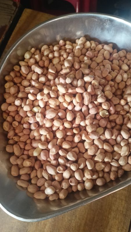 White Groundnut Seeds, For Cooking, Food