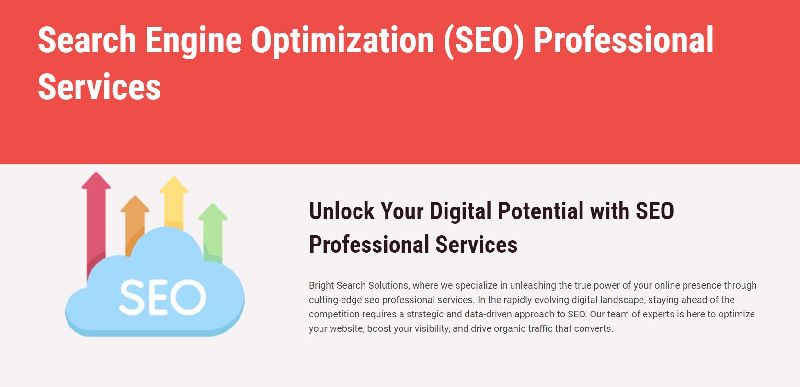 SEO Professional Services