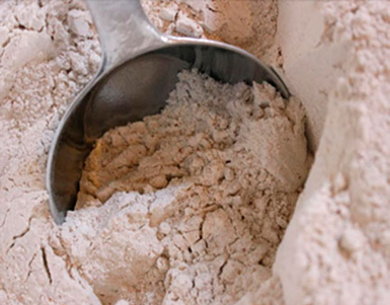 Samba wheat flour