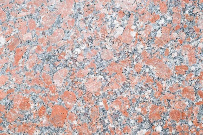 Polished PG Red Granite, Specialities : Striking Colours, Shiny Looks, Fine Finishing, Easy To Clean