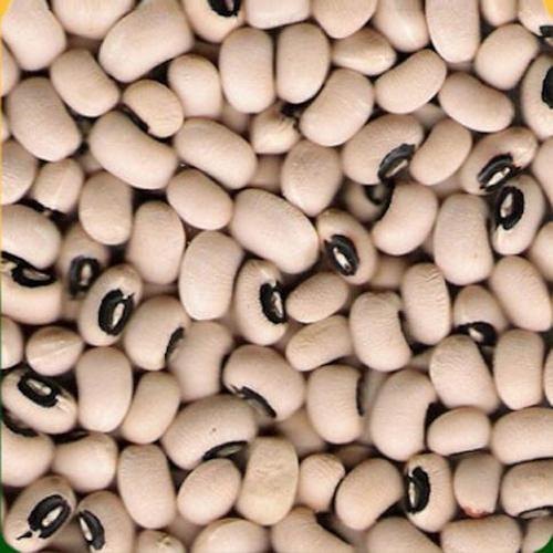White Natural Black Eyed Beans, for Cooking, Certification : FSSAI Certified