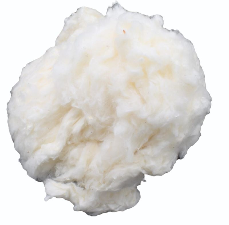 White Organic Raw Cotton, for Textile Industries, Purity : 100%