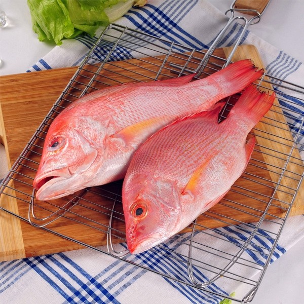 fresh local baby red snapper fish
