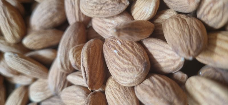 Hard Common Almond Kernels