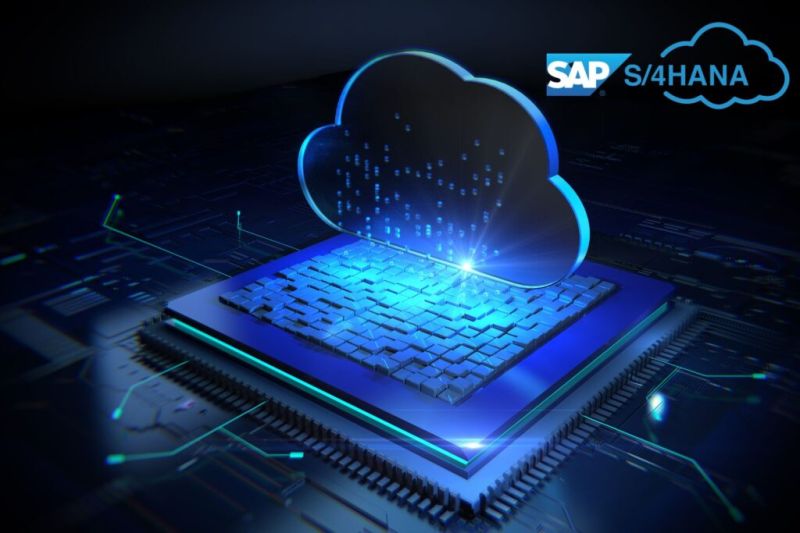 Sap s-4 hana services