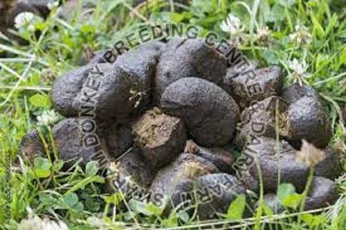Wet Donkey Dung, Packaging Size : 10 kg