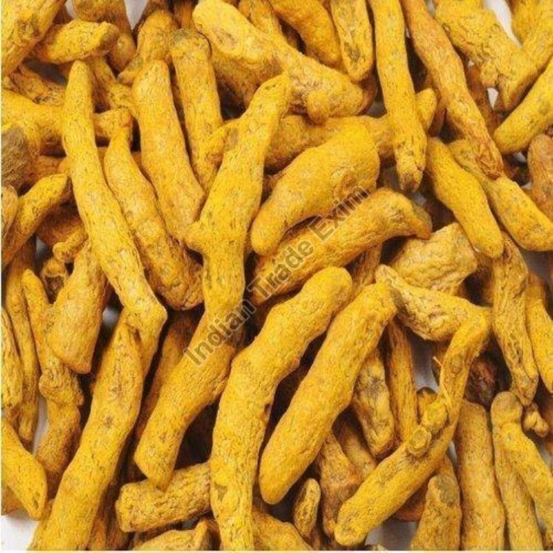 Whole Polished Turmeric Finger, for Cooking, Shelf Life : 6 Month