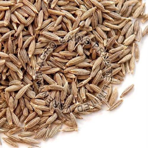 Raw Organic Brown Fennel Seeds, for Cooking, Shelf Life : 6 Month