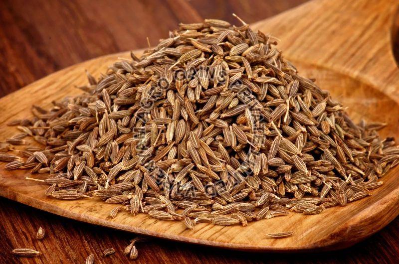 Brown Raw Organic Cumin Seeds, for Cooking, Shelf Life : 6 Month