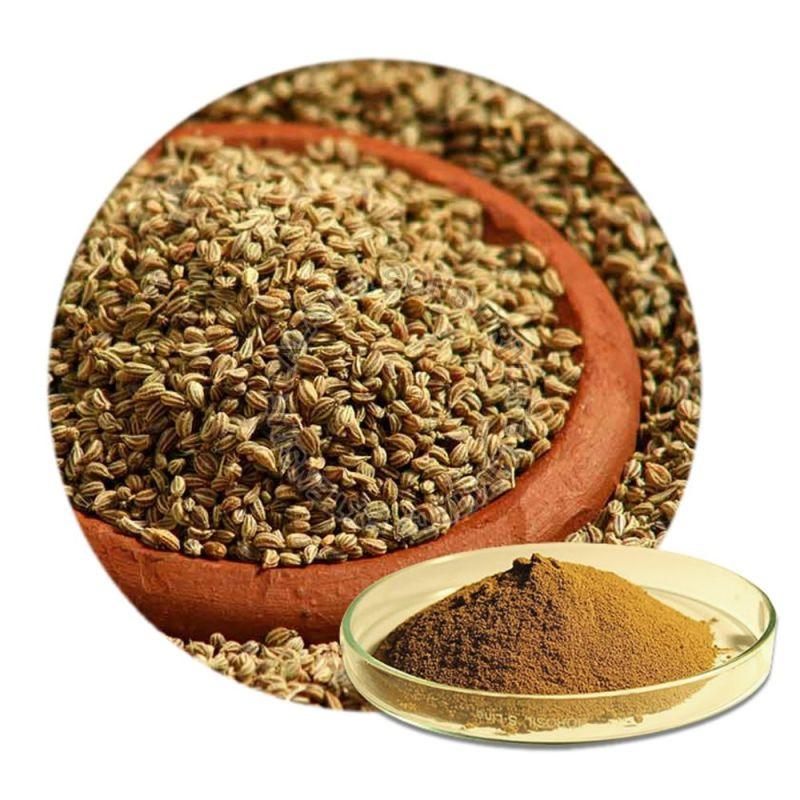 Brown Ajwain Powder, for Spices, Shelf Life : 9 Month