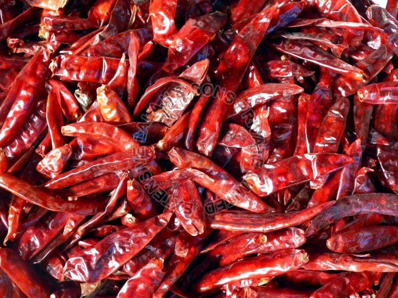 Organic Dry Red Chilli, for Cooking, Grade Standard : Food Grade