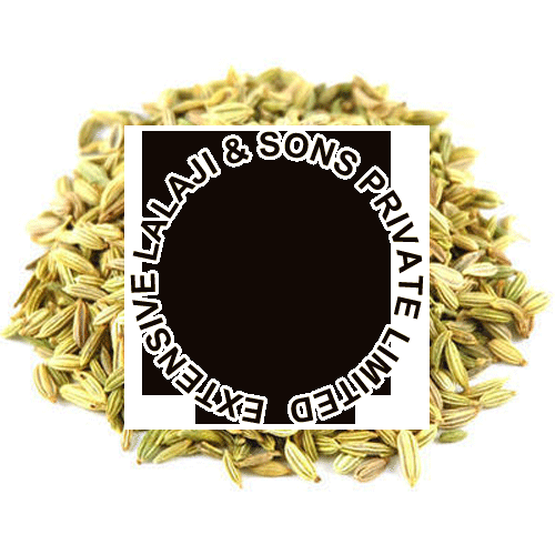 Green Organic Fennel Seeds, for Cooking, Grade Standard : Food Grade