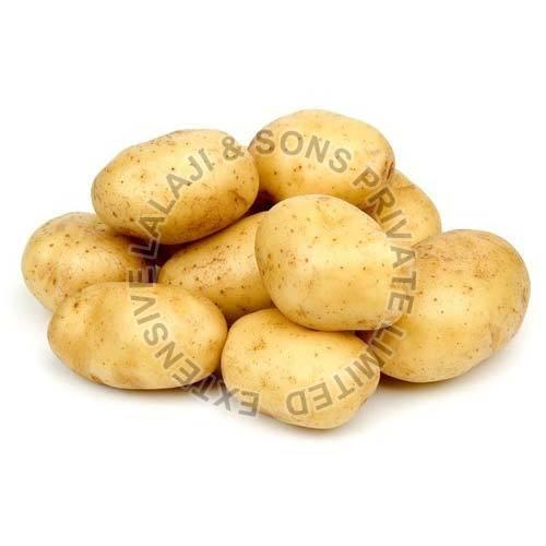 Organic fresh potato, Packaging Type : Gunny Bag