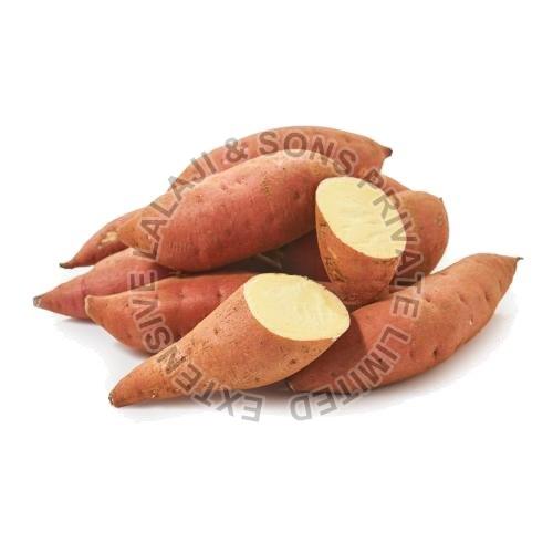 Natural Fresh Sweet Potato, Packaging Type : Plastic Bag