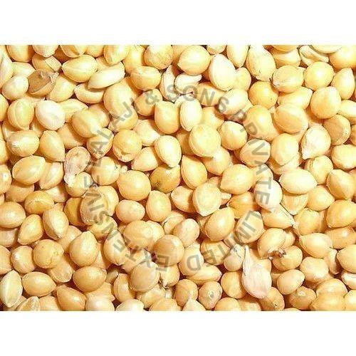 Yellow Organic Proso Millet, for Cooking, Variety : Hybrid