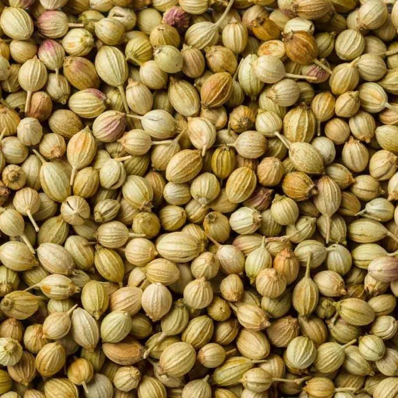 Natural Coriander Seeds, for Cooking, Size : 3-5mm