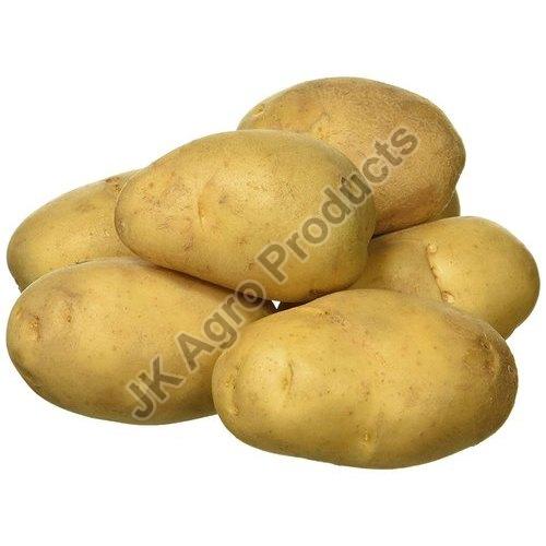 Natural Fresh Big Potato, for Cooking, Used in Making Chips Snacks, Packaging Type : Gunny Bags