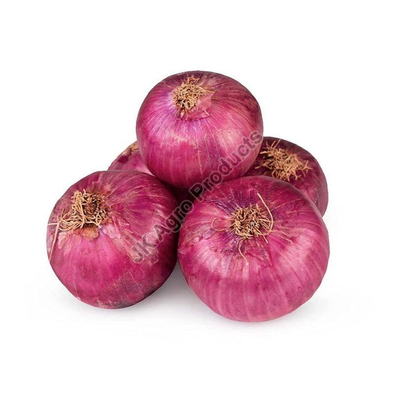 Fresh Pink Onion, for Cooking