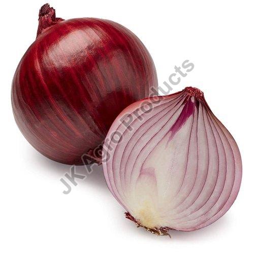 Fresh Red Onion, for Cooking, Making Salad, Shelf Life : 10-15 Days